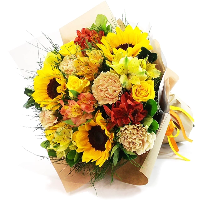 Springlike - M