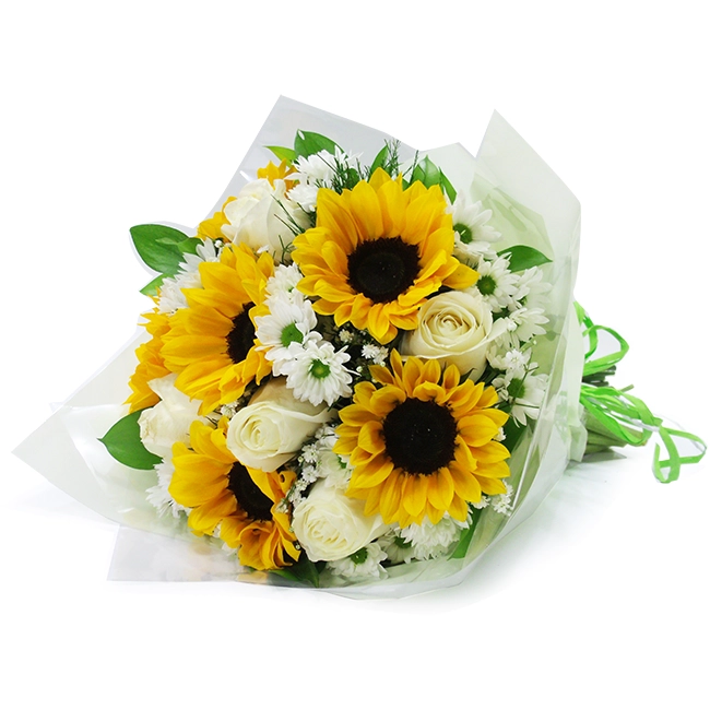 Affection with Sunflowers - M