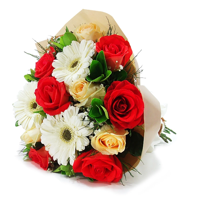 Gerberas and Colors - M