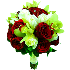 B.noiva - Rosas Importadas e Orquideas