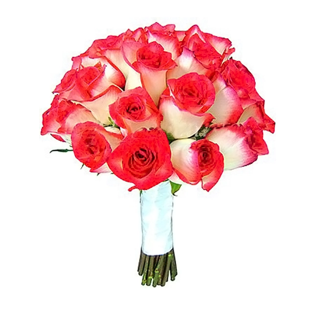 B. Noiva - Imported Two-tone Roses