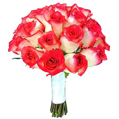 B. Noiva - Rosas Importadas Bicolores