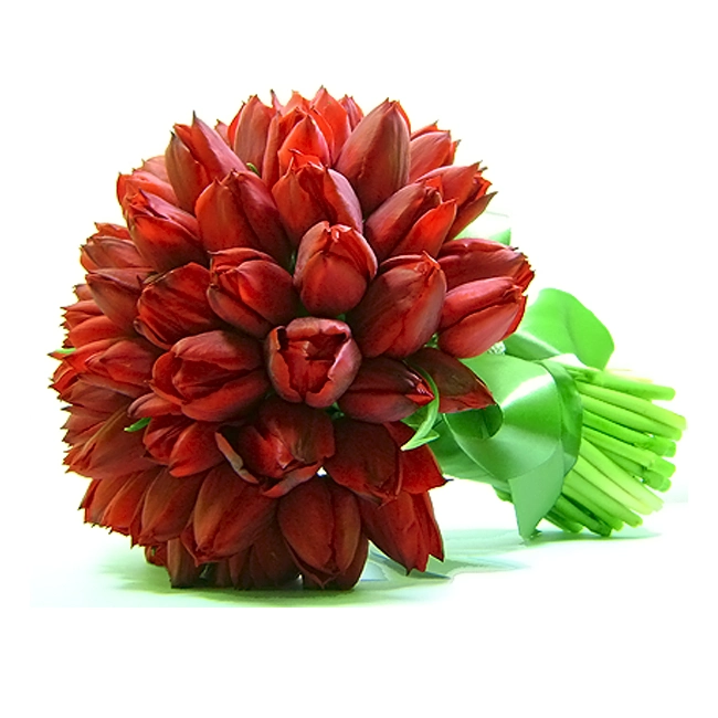 Buque de Noiva de Tulipas