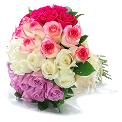 Buquê de 35 Rosas Coloridas - Suavidade