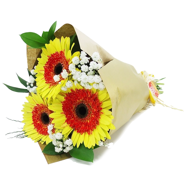 Trio of Yellow Gerbera