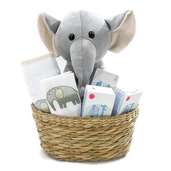 Baby Elephant