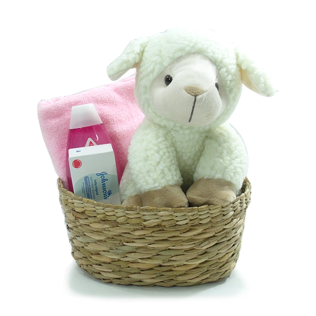 Baby Sheep Girl