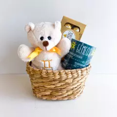 Signo de Gêmeos