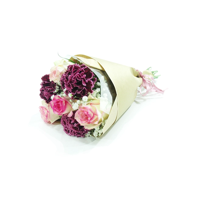 O Cravo e A Rosa Rosa - P