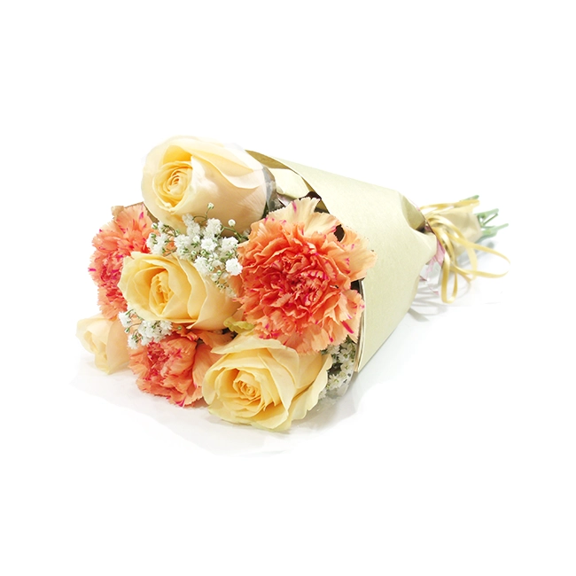 The Carnation and The Champagne Rose - P