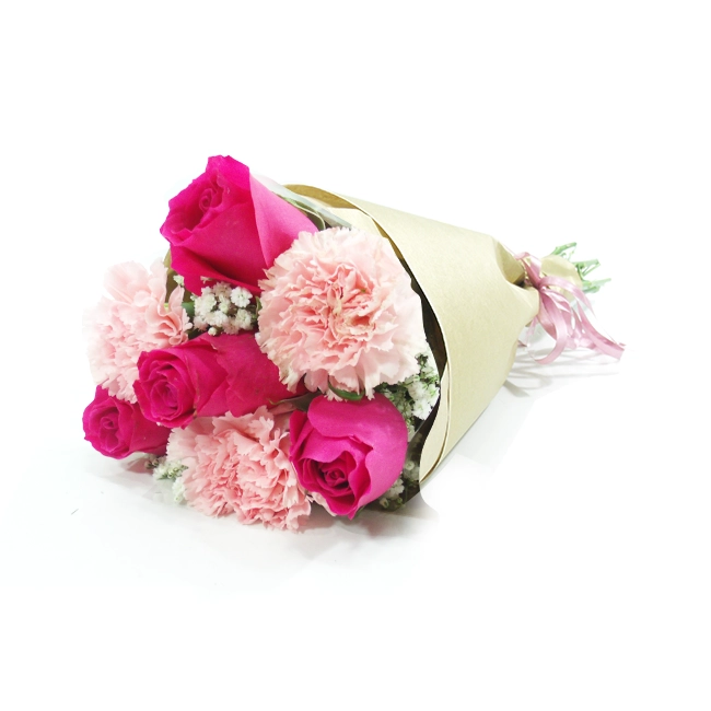 The Carnation and The Pink Rose - P