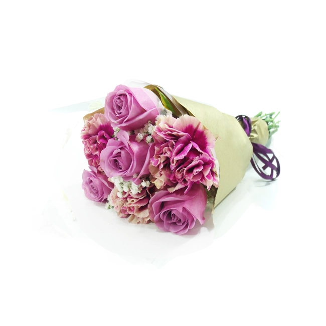 The Carnation and The Lilac Rose - P
