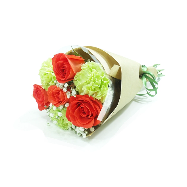 The Carnation and The Orange Rose - P