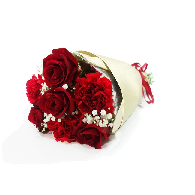 The Carnation and The Red Rose P