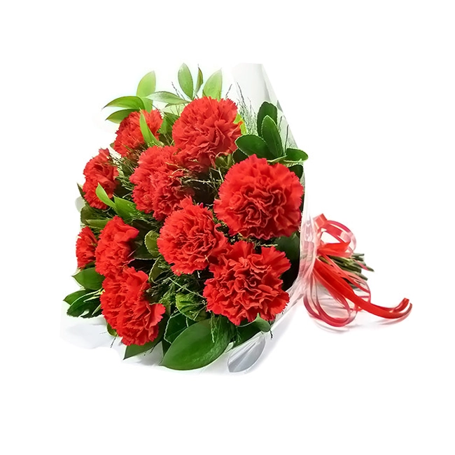 10 Red Carnations