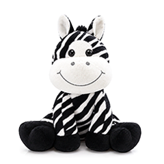 Zebra Baby