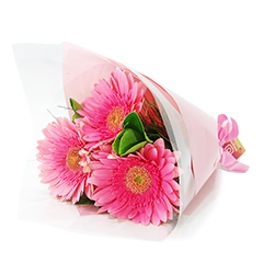 Buquê de 3 Gérberas Cor de Rosa
