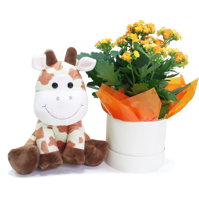 Little Giraffe and Flowers