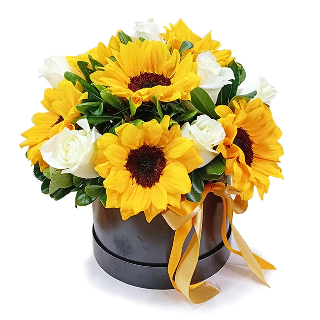 Box de Girassóis e Rosas