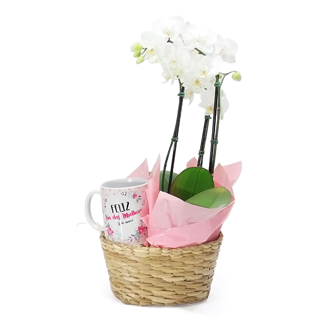 Special Woman Orchid