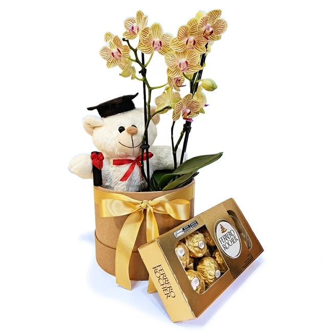 Graduation with Chocolate