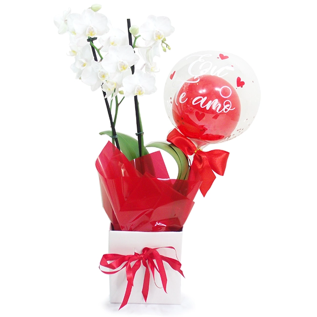 Orchid P - I Love You