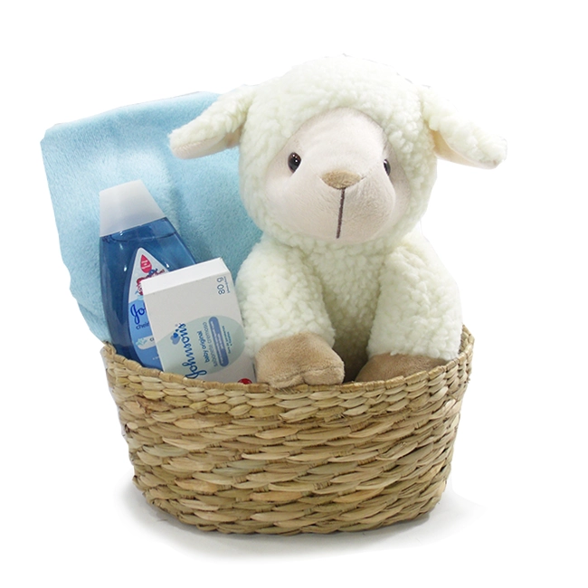 Baby Sheep Boy