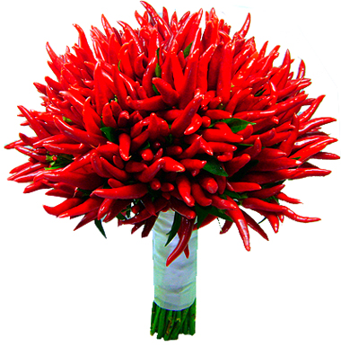 B.noiva - Chilli
