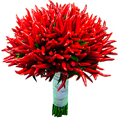 B.noiva - Chilli 
