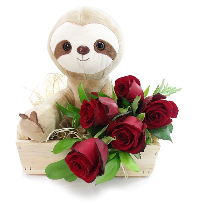 Good Little Sloth
