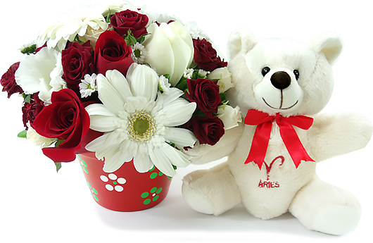 Flores de Áries