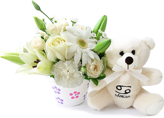 Cancer Flowers