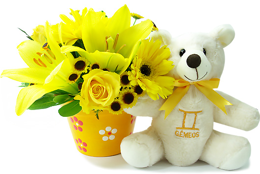 Flores de Gêmeos