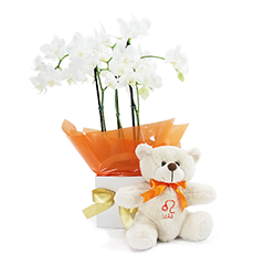Orquídea de Leão