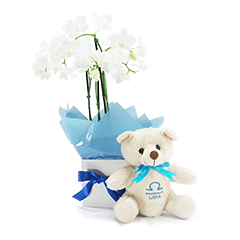 Orquídea de Libra