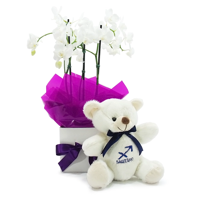 Sagittarius Orchid