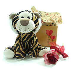 TIGRINHO AMOR