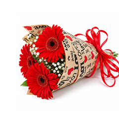 Trio of Red Gerberas