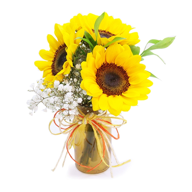 Mini vaso com 3 Girassóis