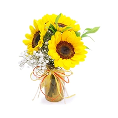 Mini vaso com 3 Girassóis