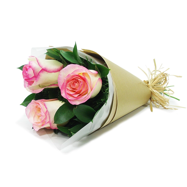 Trio of Pink Roses