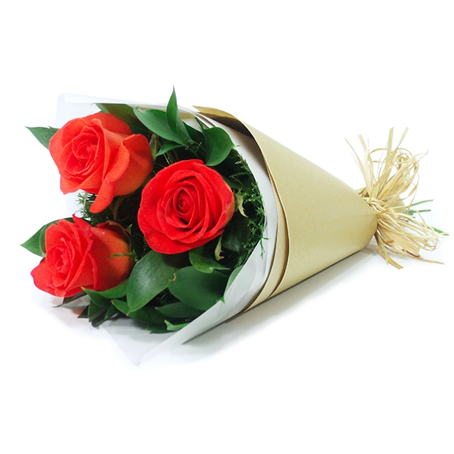 Trio de Rosas Laranja
