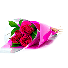 Buquê de 3 Rosas Pink