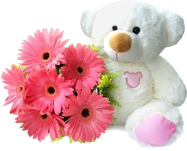 Girl´s Dreams