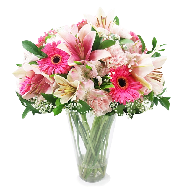 Suavidade Floral