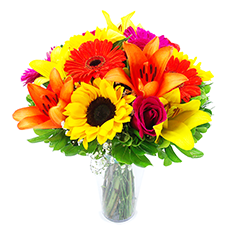 Joy for You