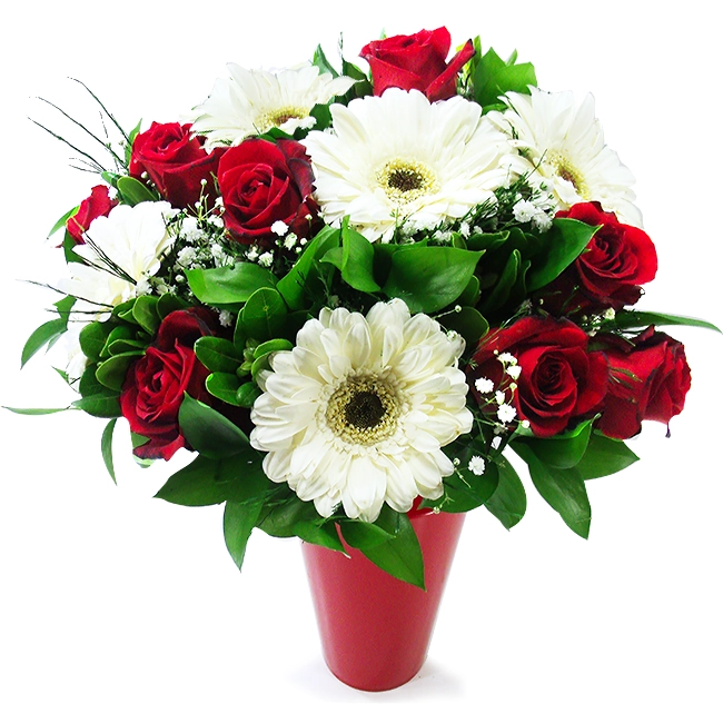 Red and White