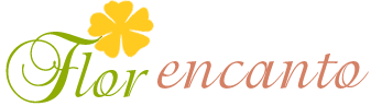 Floricultura Online Florencanto