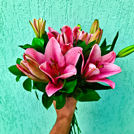 conheça as variedades de flores da Florencanto
