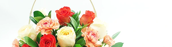 O Encanto das Flores a um clique de você